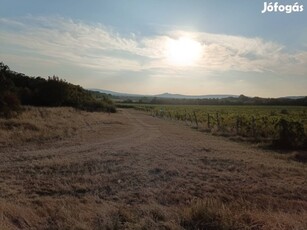 Eladó szőlő Balatonakali külterületén