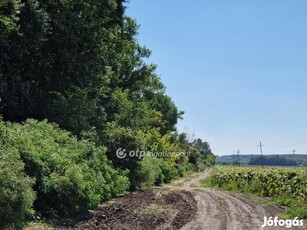 Eladó Telek, Hódmezővásárhely