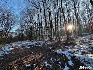 Eladó telek Kismaros, Börzsönyliget