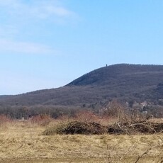 Eladó telek Piliscsaba