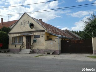 Kalocsa Negyvenszálláson nagy ház nagy telekkel eladó!