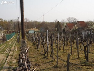 Szekszárdi eladó telek