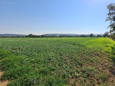 Jánostelep, Sopron, ingatlan, telek, 7.900.000 Ft