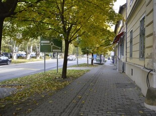 Eladó telekBudaörs, Templom tér