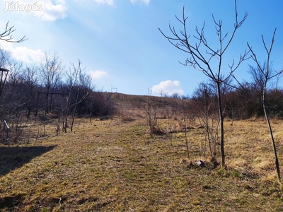 Pázmándfalu Hegy belterületi panorámás telek eladó