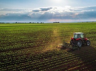 Eladó mezogazdasagi ingatlanNyíregyháza