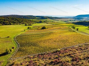 Eladó mezogazdasagi ingatlanÓbudavár