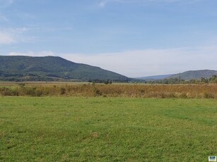 Eladó telekBátonyterenye