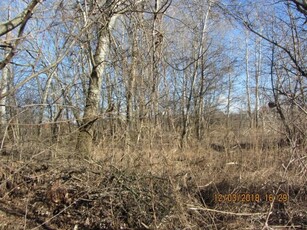 Eladó telekBudapest, XVII. kerület, Rákoscsaba-újtelep