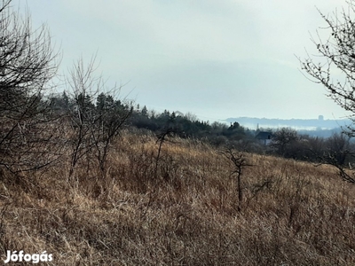 Balatonfűzfőn 2649 m2-es panorámás üdülőövezeti telek eladó!