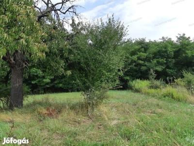 Écsen panorámás telek eladó