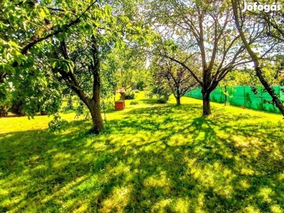 Kópháza 1000nm teljes panorámás Temető utca befektetői jelenleg