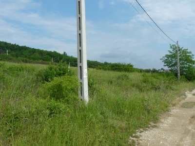 Eladó telekMályi, Ibolya utca