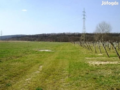 Eladó telek - Budakeszi - Budakeszi, Pest - Telek, föld