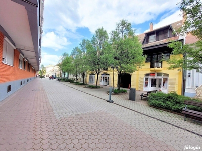 Élvezze a Belváros minden előnyét, madárcsicsergős lakásából! - Debrecen, Hajdú-Bihar - Lakás