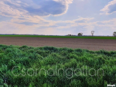 Szilsárkány - 5035 m2-es belterületi telek eladó - Szilsárkány, Győr-Moson-Sopron - Telek, föld