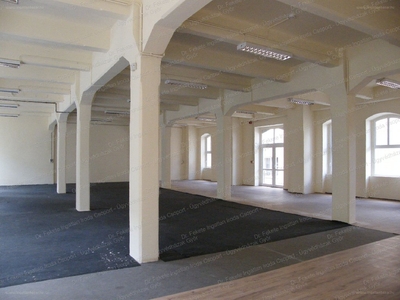 Gyárváros, Győr, ingatlan, üzleti ingatlan, 300 m2, 395.000 Ft