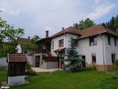 Budajenőn 180 nm-es lakóház + pince présházzal - Budajenő, Pest - Ház