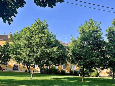 Felújított, azonnal költözhető, tehermentes napfényes lakás eladó! - XX. kerület, Budapest - Lakás