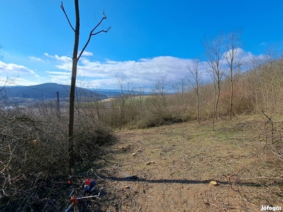 Panorámás telek Kisecseten , Budapesttől 1 órára - Kétbodony, Kisecset, Szente, Nógrád - Telek, föld