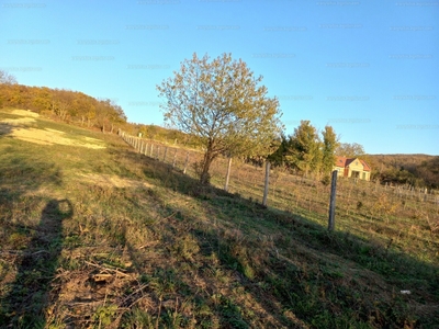 Eladó általános mezőgazdasági ingatlan - Balatonfüred, Vasvirág utca