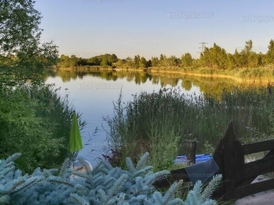 Eladó családi ház - Délegyháza, Robinson park