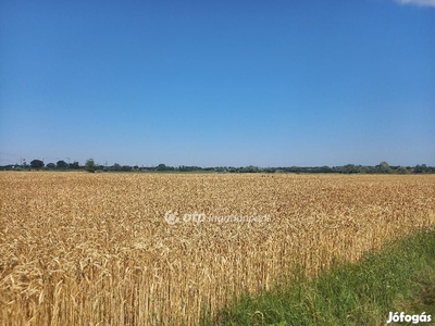 Eladó Fejlesztési terület, Csongrád - Csongrád, Csongrád-Csanád - Telek, föld