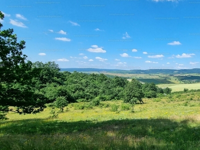 Eladó külterületi telek - Csabdi, Vasztély