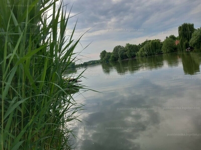 Eladó külterületi telek - Szarvas, Nagyfoki holtág