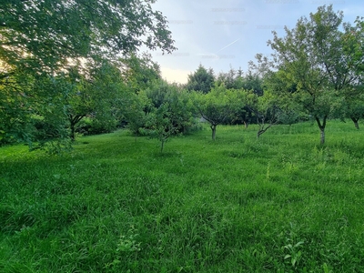 Eladó lakóövezeti telek - Páty, Dobogó