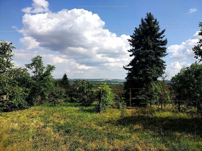 Eladó lakóövezeti telek - Pécs, Baranya megye