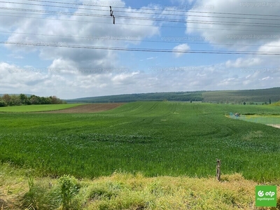 Eladó lakóövezeti telek - Sokorópátka, Győr-Moson-Sopron megye