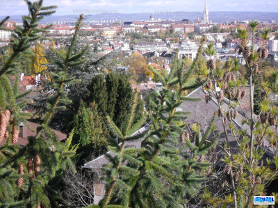 Eladó tégla lakás - XII. kerület, Orbánhegy