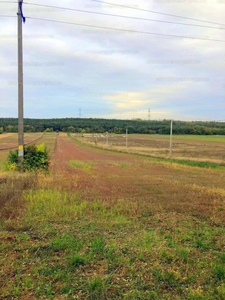 Eladó termőföld, szántó - Fót, Kurjancs