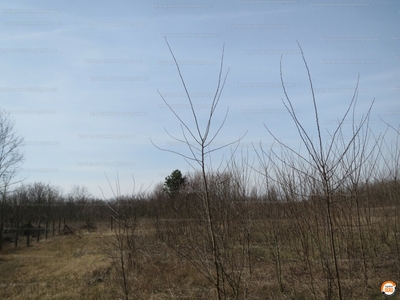 Eladó termőföld, szántó - Kecskemét, Belsőnyír