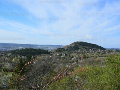 Eladó üdülőövezeti telek - Budaörs, Frankhegy