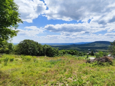 Eladó üdülőövezeti telek - Szentendre, Szarvashegy