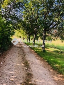 Eladó Telek, Baranya megye Siklós Napsütéses Birtok Máriagyűdön Eladó!