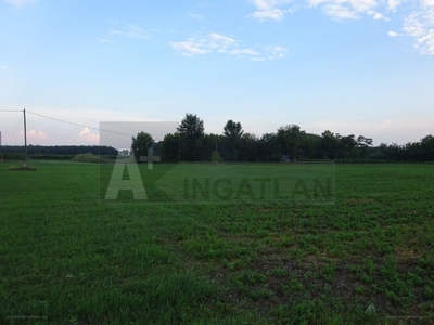 Forráskút, ingatlan, mezőgazd. ingatlan, 16700 m2, 4.000.000 Ft