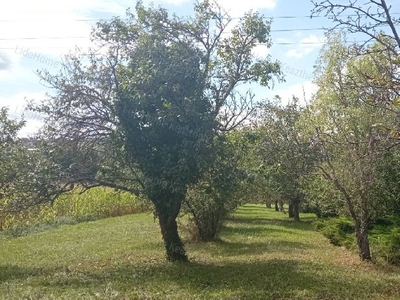 Egregy, Hévíz, ingatlan, mezőgazd. ingatlan, 3162 m2, 5.000.000 Ft