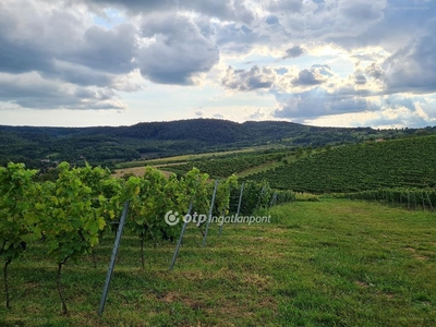 Lesencefalu, ingatlan, mezőgazd. ingatlan, 4930 m2, 9.500.000 Ft