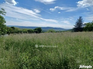 Eladó Erdő!2093nm macskahegyi telek, Gyermely