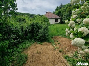 II. kerület, Gyöngyvér utca, 913 m2-es, telek