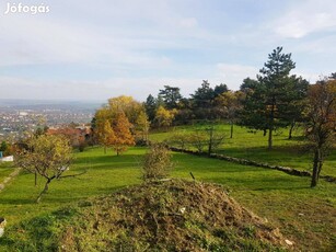 Pécs Havihegy tetején 1650 m2 építési telek