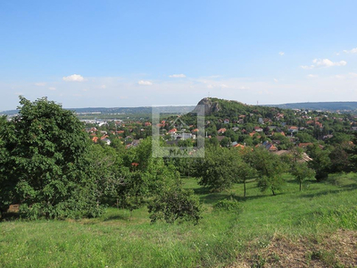 Budaörs, Csikidűlő, Csikihegyek oldalában