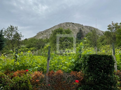 Budaörs, Odvashegy, Odvashegyen