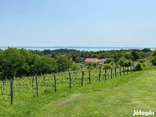 Balatoni panorámás telek Ábrahámhegyen!