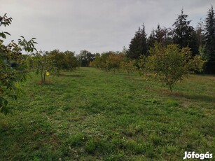 Balatonőszöd telek, dióskert