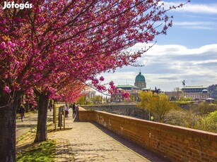 Eladó Lakás, Budapest 1. ker.