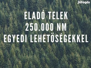 Eladó telek 3.75 milliárd forint